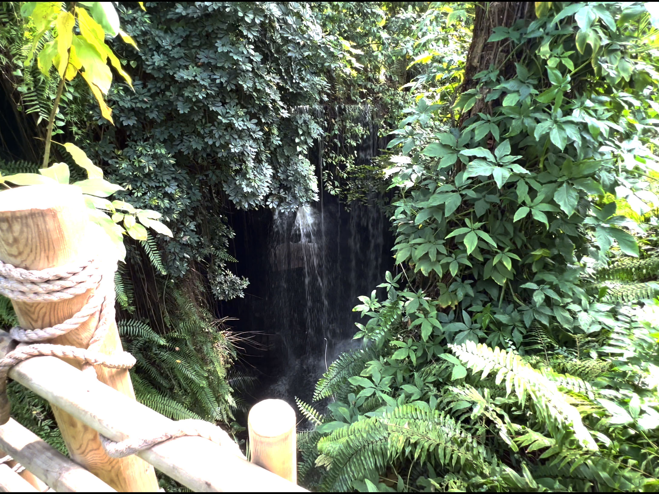 Waterfall in Greenhouse